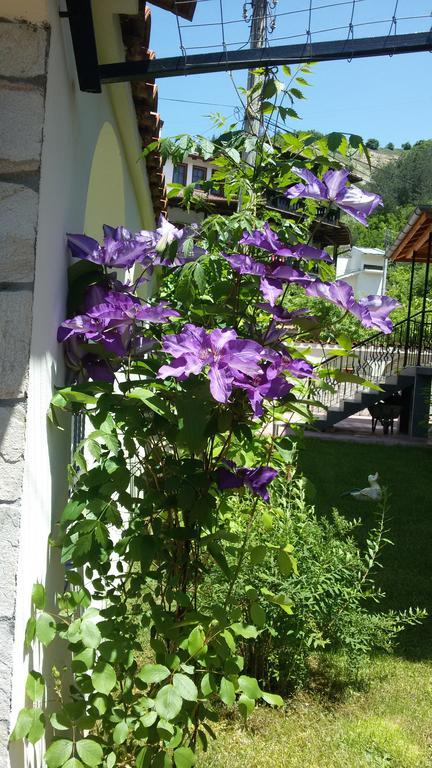 Guest House Benita Devin Esterno foto